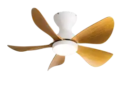 Best Aesthetic Designer Ceiling Fan, $ 0