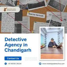 Best Detective Agency in Chandigarh, Chandigarh