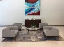 Area Carpets for Sale |Contemporary Area Rug store, Miami