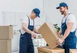 Professional House Removals Brisbane for Safe & Ea, Brisbane