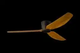 High Premium Creativity Designer Fan, $ 0