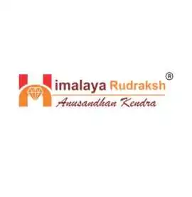 Spiritual Harmony with Authentic 10 Mukhi Rudraksh, Delhi