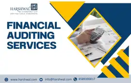 Financial Auditing Service for Small and Businesse, San Diego