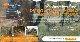 Rajasthan Holiday Packages