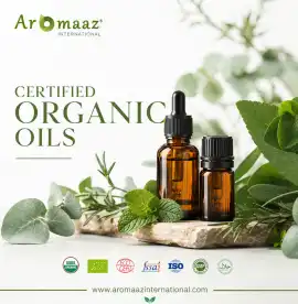 Searching for Pure Certified Organic Oils for Your, New York
