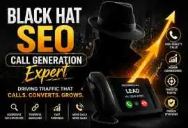 Black Hat Seo Expert, Noida