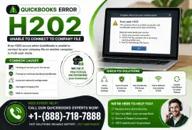 What is Error code H202 and how do I fix it? , Los Angeles