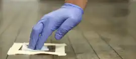 Lead Inspection Service – Funguy Inspections, Los Angeles