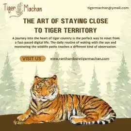 The Art of Staying Close to Tiger Territory