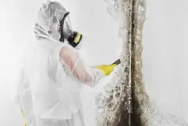 Mold Testing House – Identify Hidden Mold Problems, Los Angeles
