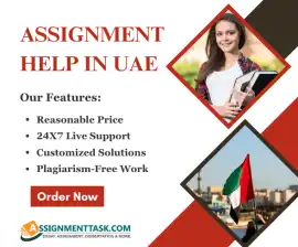 Get Professional Assignment Help in UAE Online, Dubai