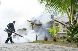 Pest Control Campbelltown, Yagoona