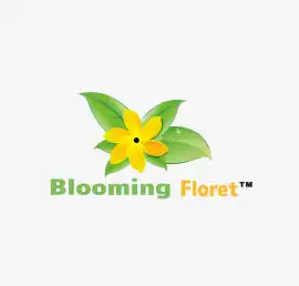 Artificial Succulent Plants for Home Decoration, New Delhi