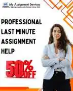 Professional Last Minute Assignment Help 50% off, Melbourne