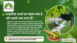 Trusted Ayurvedic Dr in Alambagh for Holistic Heal, Lucknow