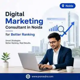 Digital Marketing Consultant in Noida , Noida