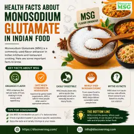 Health Facts About Monosodium Glutamate In Indian , New Delhi