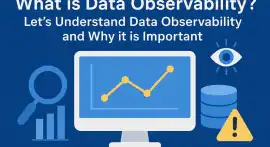 Data Observability, Chicago