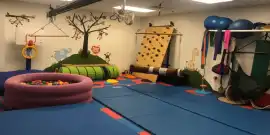 Sensory Gym Helps Improve Speech and Movement, Oyster Bay