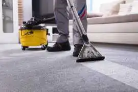 Affordable Carpet Cleaner Service, Bukit Timah