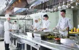 Premium Commercial Kitchen Equipment Services, ₹ 0