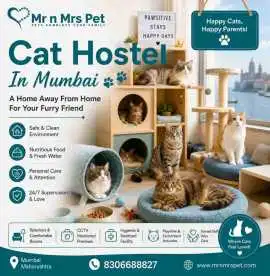 Cat Hostel, Mumbai