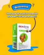 Buy Bravecto for Dogs Online , Abbeville