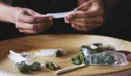 Fast Cannabis Delivery Kitchener – Order Today, $ 0