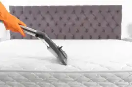 Best Rug Cleaner That Maintains Fabric Quality  , Ainslie