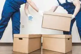 Professional Removalists Adelaide | Fast Moving, Adelaide