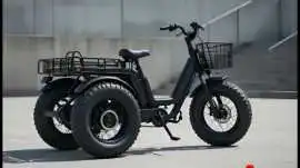 Explore Stability With a 3 Wheel Electric Bike, Omaha