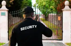 Security Services Newcastle, Mascot
