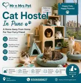 Cat Hostel, Pune