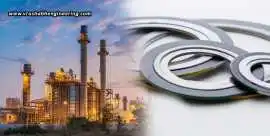 Industrial Gasket Solutions with Superior Sealing , Ahmedabad