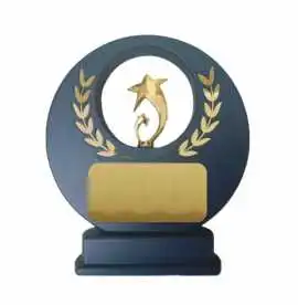 Gold Star Achievement Award, Bengaluru