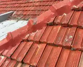 Local roof painting Adelaide, Adelaide