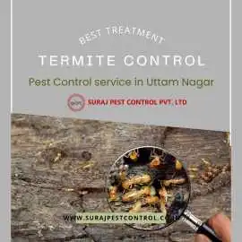 Trusted Pest Control Services in Gurgaon, Gurgaon