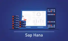 SAP CO Course in Pune: Master Controlling , Noida