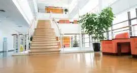 Professional Commercial Cleaning Hackney, London