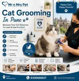 Cat Grooming, Pune