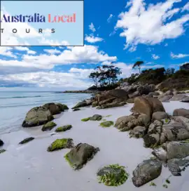 Discover Rottnest Island’s Coastal Beauty, Blacktown