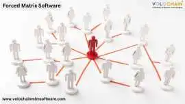 Streamline MLM with Forced Matrix Software Tools, Noida