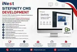 Sitefinity CMS Development Services in Noida, Noida