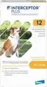 Buy Interceptor Plus for Dogs , Abernant