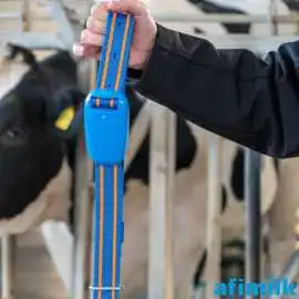Vansun Technology Afimilk Rumination Neck Collar f, Noida