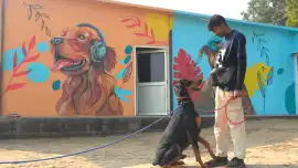Dog Rehabilitation Center in Delhi for Behavioral , Delhi