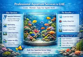 Buy Aquarium Supplies & Exotic Fish in Dubai UAE