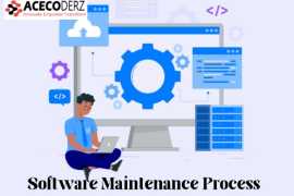 Software Maintenance Process, Lucknow