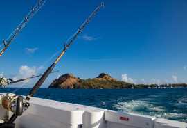 THRILLING ST. LUCIA SNORKELING EXCURSIONS, San Diego