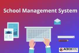 Boost Efficiency! School Management System, Lucknow